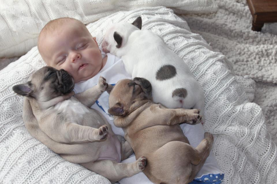 Pug Is My Best Friend- Pics of Pugs and Kids Together