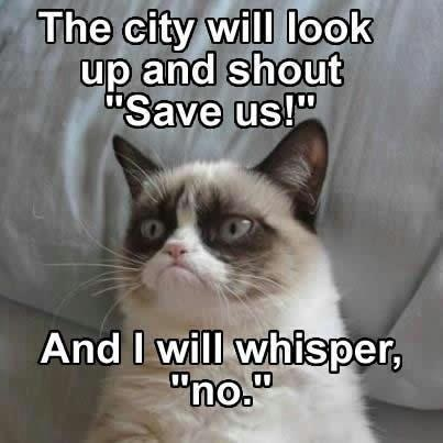 Funny Grumpy Cat Quotes - Pictures Worth Sharing!