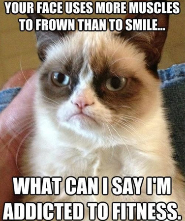 Funny Grumpy Cat Quotes - Pictures Worth Sharing!