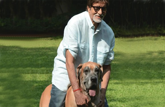 Amitabh Bachchan with dog