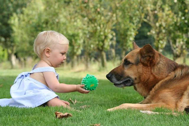 Child-and-pet-photography-7