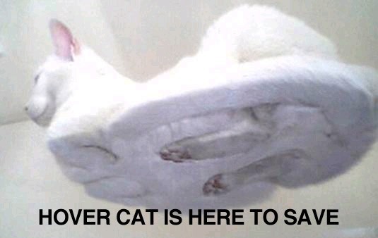 Hover-cat