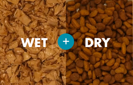 wet-dry-food