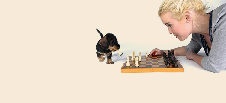 chess-playing