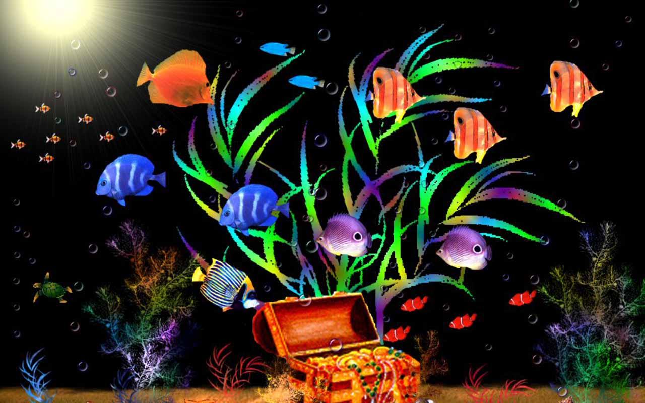 10 Most Enchanting and Beautiful Aquariums Fish