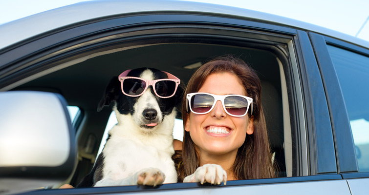 Woman-With-Dog-In-Car