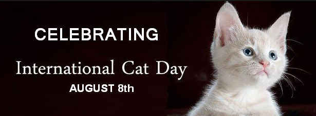 international-cat-day