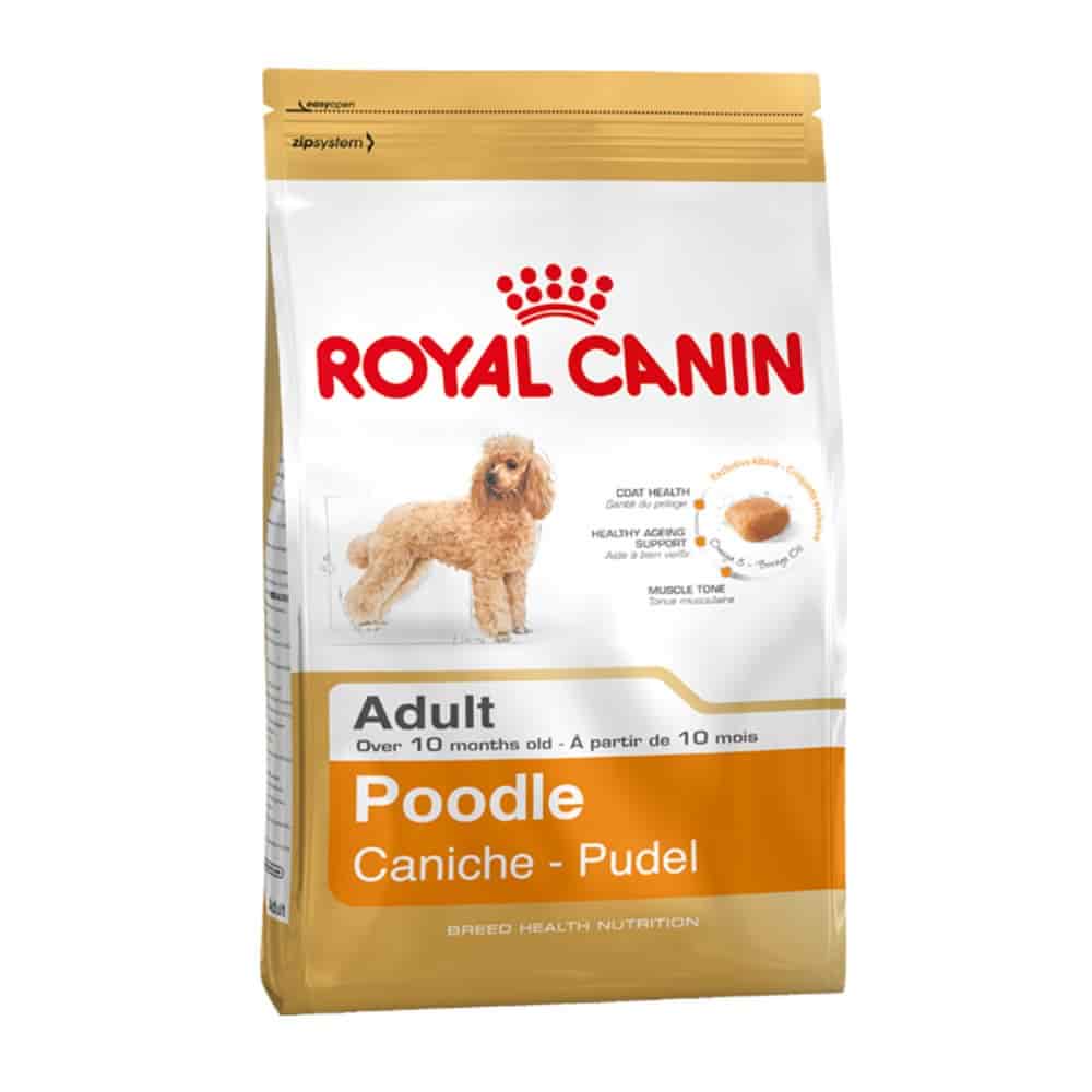 royal canin food
