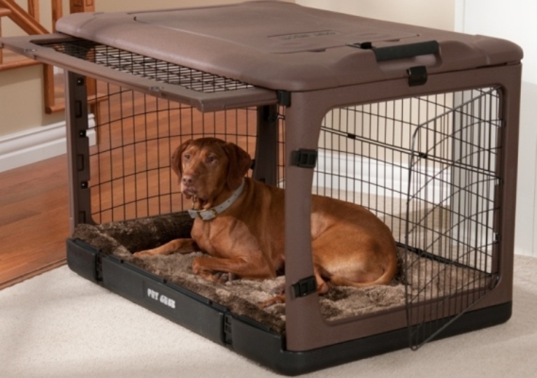 dog-crate