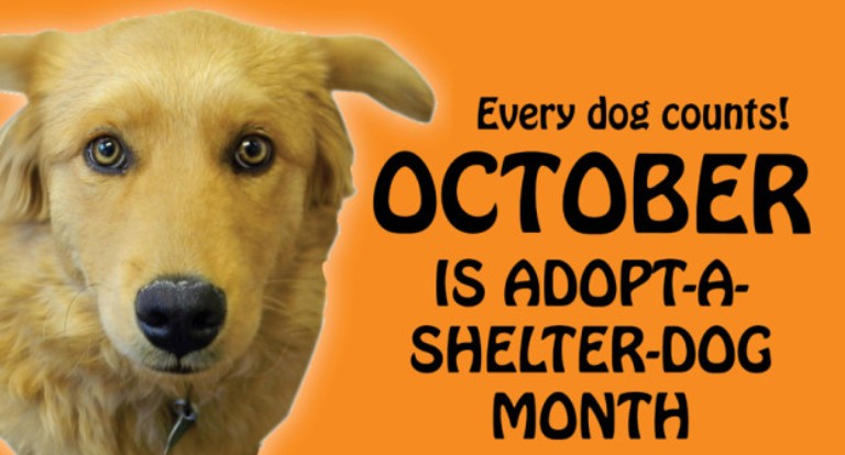 2015-adopt-a-dog-month