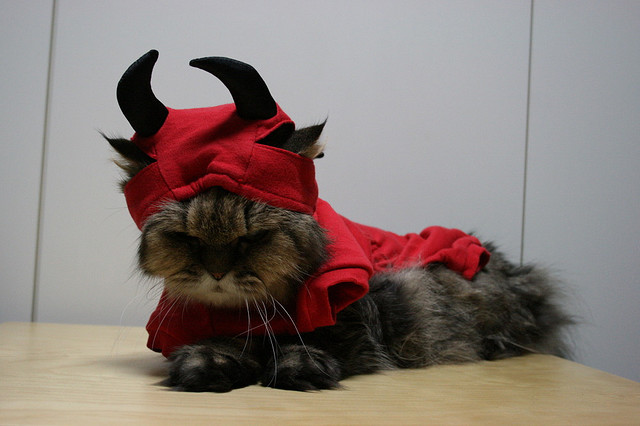 cat_devil