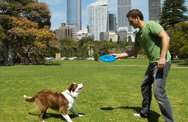 playing-frisbee