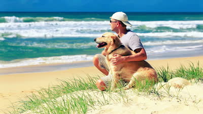 stock-footage-male-owner-sitting-on-a-beach-with-a-dog