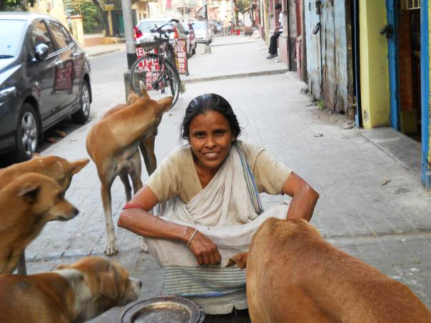 beena-mohapatra_kolkata-street-dog-lover