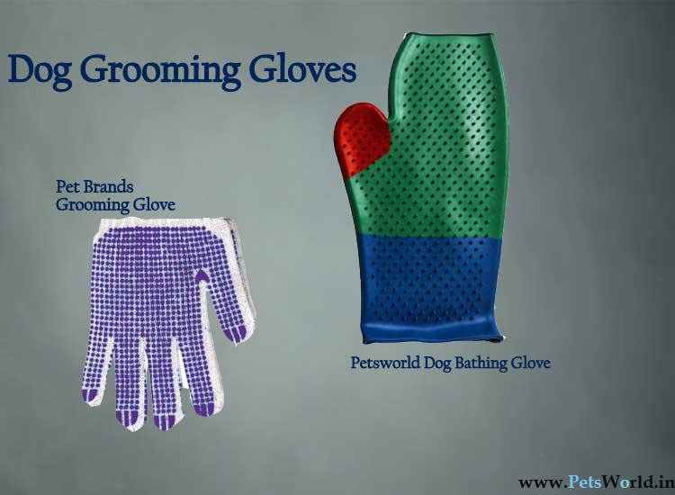 grooming-glove