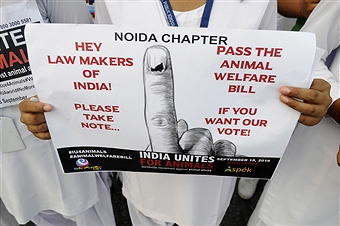 The Noida chapter of India Unites For Animals had a clear agenda. Animal Welfare for Votes. Getty Images