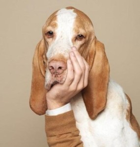 A study by BluePearl veterinary Partners’ Michigan hospitals indicates that a dog’s level of mental cognition is same as that of a human child aged between three to five years. Image:http://en.paperblog.com/