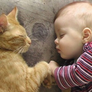 Cat and baby Sleeping