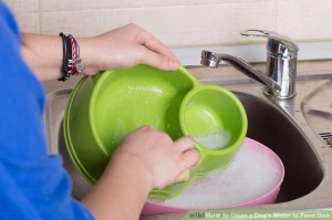 Use feeding bowls that are made using food grade materials. Image - www.wikihow.com