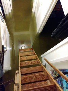 A pic from Betty's house which was flooded and she had to shift to her attic along with over 20 dogs. Image - reshareworthy.com