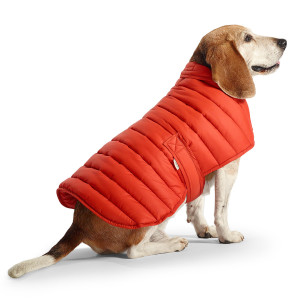Double coated dog breeds with a thick undercoat may fare better while dealing with low temperatures but you can always provide a sweater to see if it makes them more comfortable. It may really not mind one particularly while touring the outdoors.  Image - thegreenhead.com/