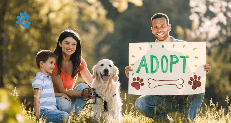 Adopting-a-Dog