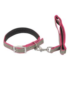 Petsworld Color Combo Leash and Collar Set with Extra Neck Padded for Dog Grey Pink