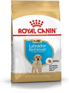 Royal Canin Labrador Retriever Junior Dog Food 3 Kg
