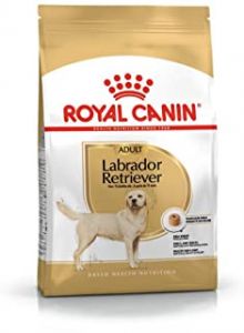 Royal Canin Labrador Retriever Adult Dog Food 3 Kg