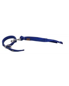 Petsworld Dog Leash Plus Collar Blue