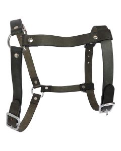 Petsworld Leather Dog Harness for Large and Medium Dogs Olive Green