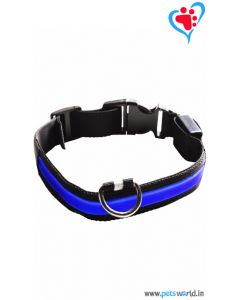 Petsworld LED Dog Collar - Blue