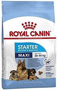 Royal Canin Maxi Starter Dog Food 15 Kg