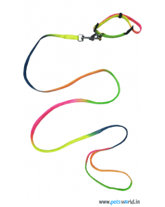 Petsworld Multi Color Puppy Collar With Leash