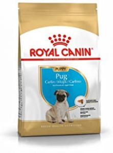 Royal Canin Pug Junior Dog Food 1.5 Kg