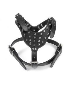 Petsworld Studded Rivets Adjustable Leather Dog Collar Harness Large Black