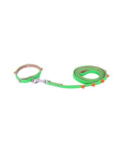 Petsworld Collar and Leash Set for Small Puppy Cat Green 1cmx127cm